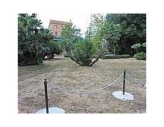 consolato egiziano a 171 fermate il muro scempio di villa ada 187 ambientalisti consolato egiziano a 171 fermate il muro scempio di villa ada 187 ambientalisti
