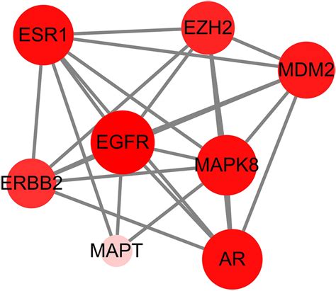 Image result for Core Target