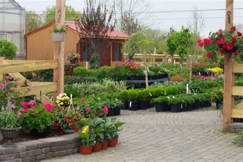 Your Local Lehigh Valley Garden Center - Palmer Nursery Garden Center in Easton, PA