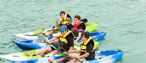 Things to see and do in Omapere/Opononi, New Zealand