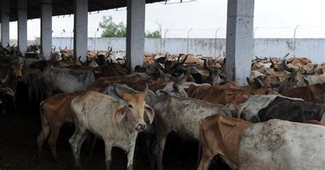What's wrong with the environment ministry's proposal to spend Rs 20 ...