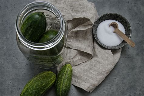 HowToBasic Pickles 的图像结果