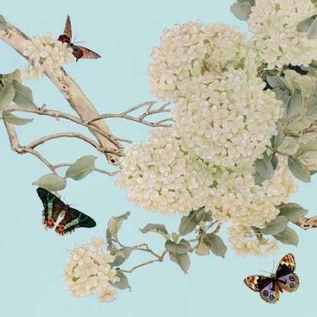 Endless Summer II by Chang, Liu - Fine Art Print on Canvas : 18 x 18 ...