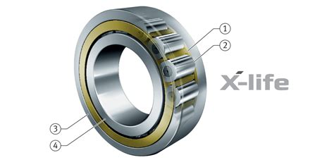 Single row cylindrical roller bearings with cage | Schaeffler medias