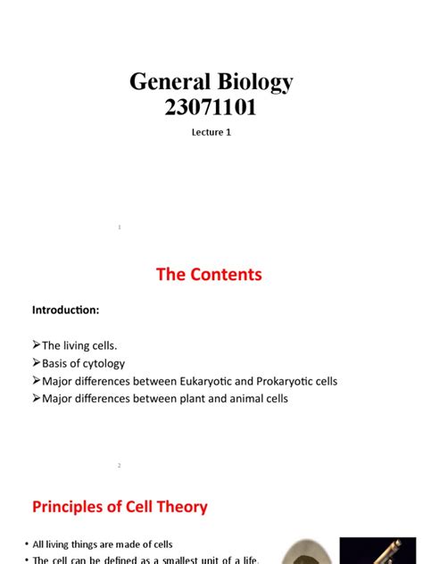 Image result for Cell Biology Lecture