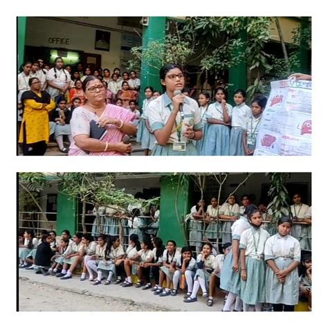 Stepping Stone | Home