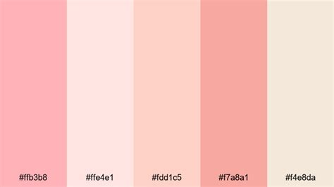 The Best 15 Salmon Pink Color Palette Ideas for Video & Design