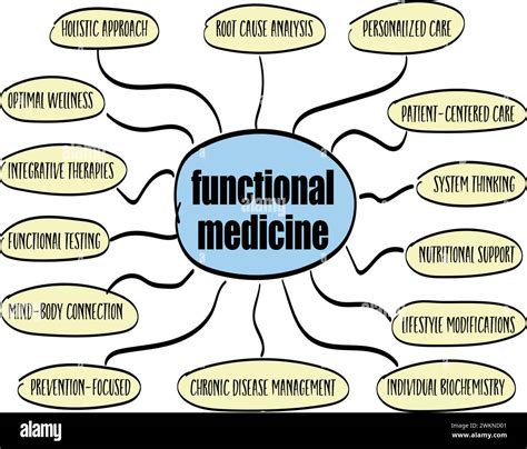 functional medicine infographics or mind map sketch, holistic health care concept Stock Vector ...