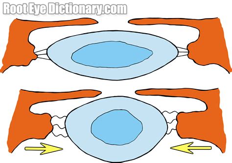accommodation - TimRoot.com