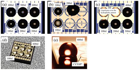 Process Development of a Liquid-Gated Graphene Field-Effect Transistor ...