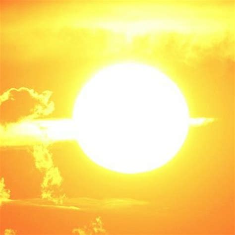 Image result for Sun Following Solar Panel Arduino