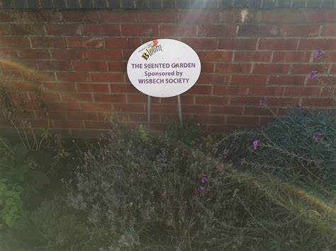 Wisbech Photos - Featured Images of Wisbech, Cambridgeshire - Tripadvisor