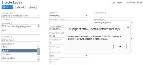 NetSuite Applications Suite - Show Message Action