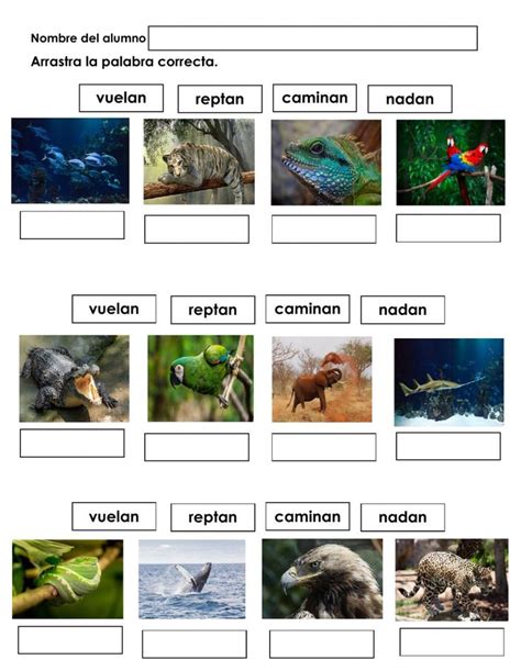 Image result for Timer CSS/HTML