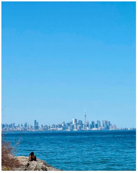 International Journal of Environmental Research and Public Health | An ...