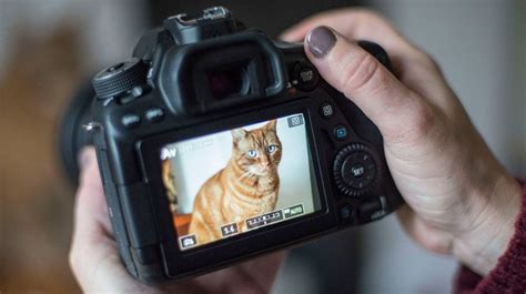 Image result for Canon DSLR Tutorials