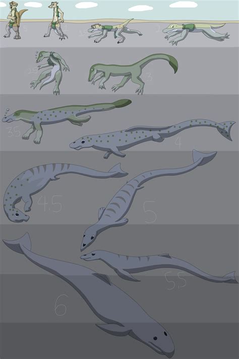 Image result for Evolution Animation