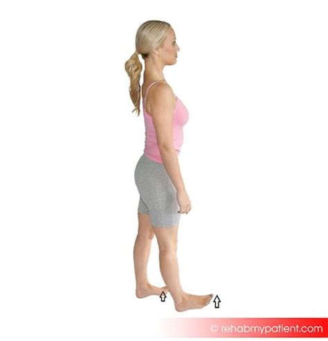 Extensor Digitorum Exercises 的图像结果