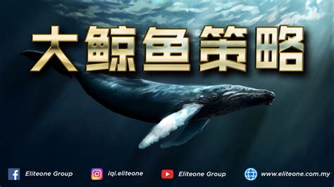 鲸鱼app投资商 鲸鱼短视频公司在哪里 - 首码项目 - 647首码项目网