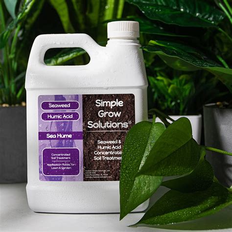 Buy Concentrated Sea Kelp Liquid Seaweed 8% Blend with Humic Acid - Sea ...