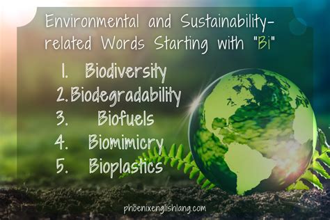 Full List Of Words That Start With Bi + Examples [2025] - Phoenix English