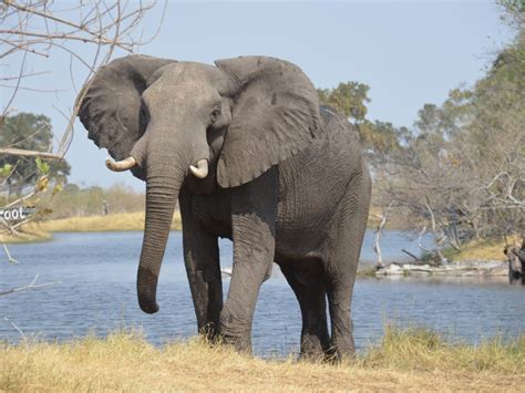 Aggregate Functions in PostgreSQL 的图像结果