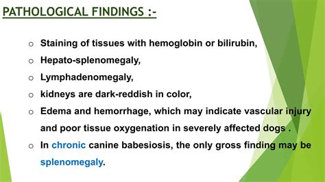 Babesiosis in Dogs Haemoprotozoan disease.pptx