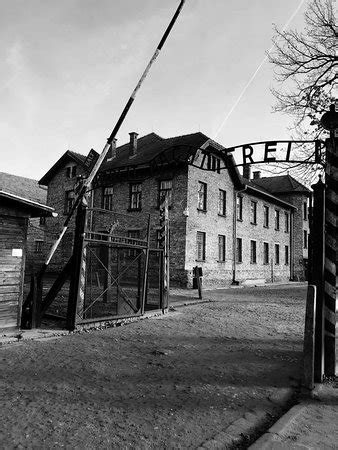 Krakow Tour Time - Tours - 2021 What to Know Before You Go (with Photos ...