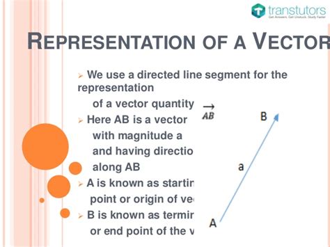 Image result for Types of Vector Drawing