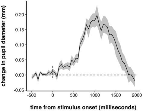 Pupillometry as a Window into Young Children’s Sustained Attention