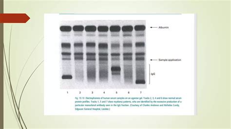 Image result for Class 8 Computer Science Notes