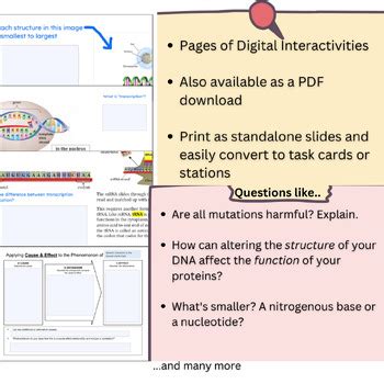 Image result for Heritable Variation