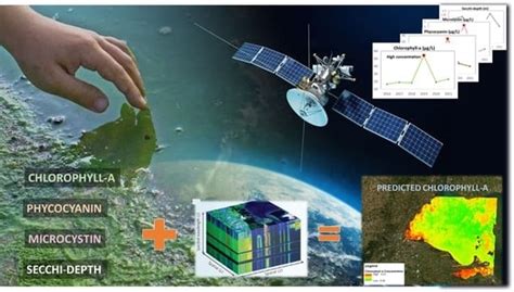 Monitoring Harmful Algal Blooms and Water Quality Using Sentinel-3 OLCI ...