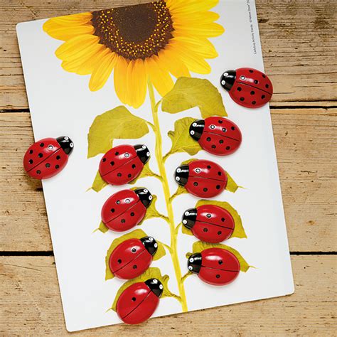 Ladybug Counting - Early Years Direct