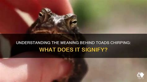 Do Toads Make Sounds 的图像结果