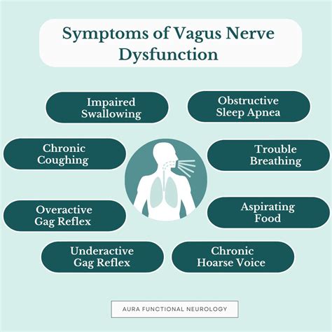 Vagus nerve dysfunction and migraine: a treatment by MIGRAINE BRAIN | Aura Functional Neurology ...