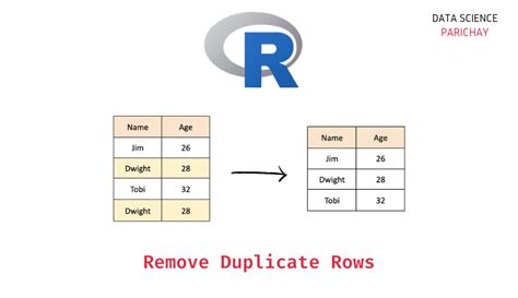 Image result for How to Remove Duplicates Using R