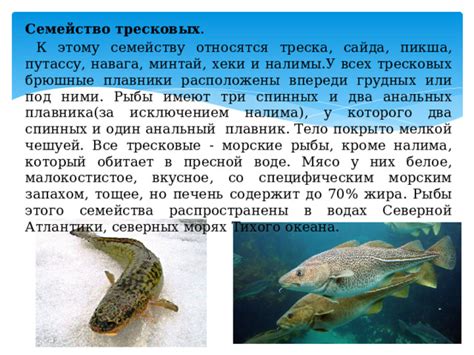 Товароведная характеристика рыбы