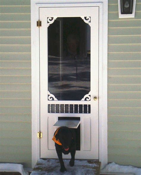 Pet Door | Wisteria Screen & Storm Door with P3 Pet Door Model | www ...