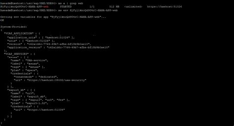 SAP HANA XS Advanced - Consume the OData service in a basic HTML5 ...