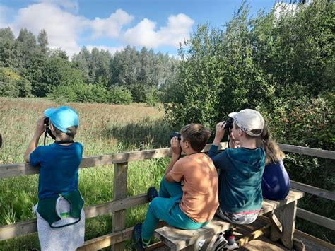 Holiday Club (ELC 2802), Lackford Lakes Nature Reserve, Bury St Edmunds ...