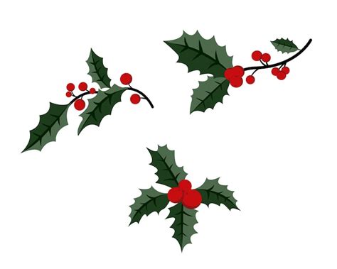 Holly sprig Images - Free Download on Freepik