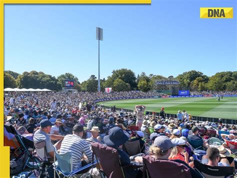 NZ vs PAK 2nd T20I: Pitch report and weather report of Dunedin's ...