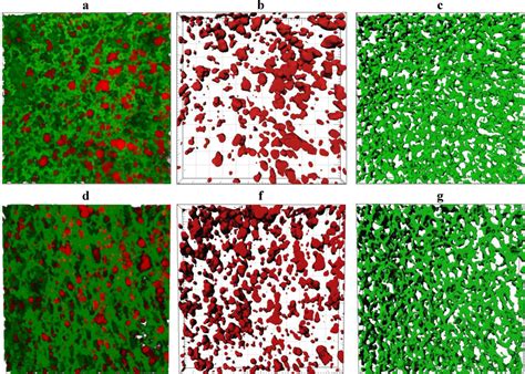 Foods | Special Issue : Structure and Flavour of Dairy Products