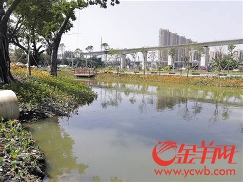 “中国水周”禅城开展宣传，今年禅城将开展106个水环境治理项目