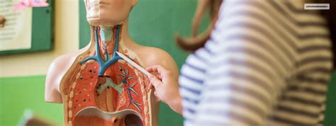 Left Side 的图像结果