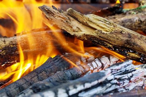 Image result for Fire Log Show