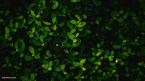 Image result for Java While Loop Flow Chart Numbers Sum