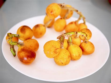 Fruit of the Season: How to Pick and Eat Loquats (or Nisperos, or Pípa ...